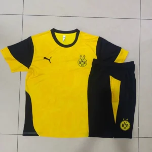 Kit Treino Camisola Borussia Dortmund 2025-26